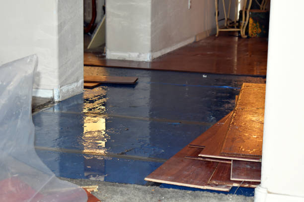 Professional Basement Flood Cleanup technician working in Brookfield, MO